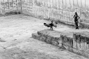Nature instinct